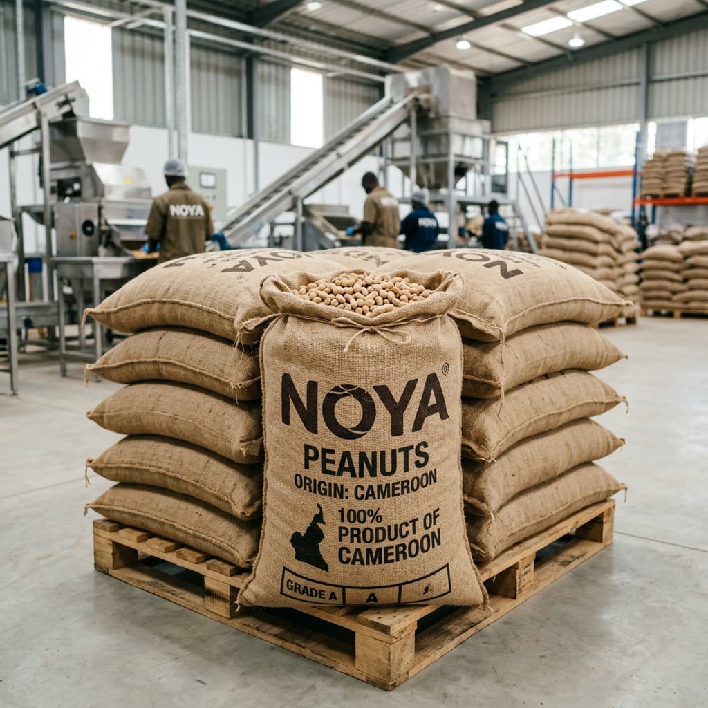 Premium Sacks Ready for Export